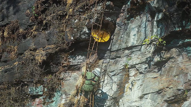 Honey Hunting and Homestay Exploration