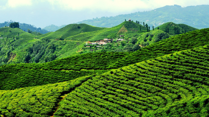 Birtamod to Ilam Bazzar and Maipokhari