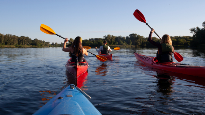 Explore Chitwan National Park