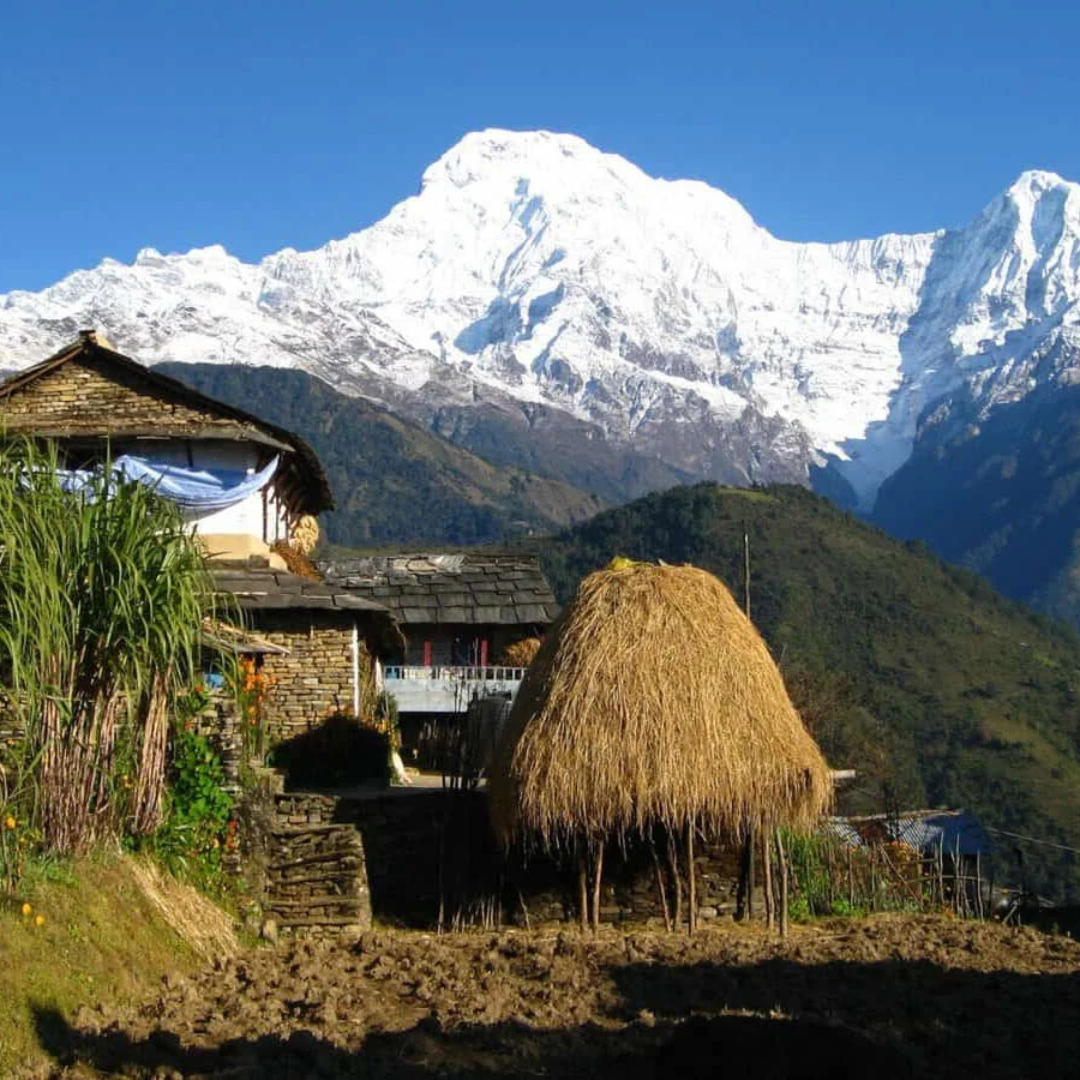 Dhampus and Ghandruk
