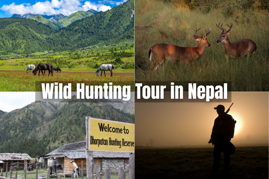 Wild Hunting Tour in Nepal – A Complete Guide