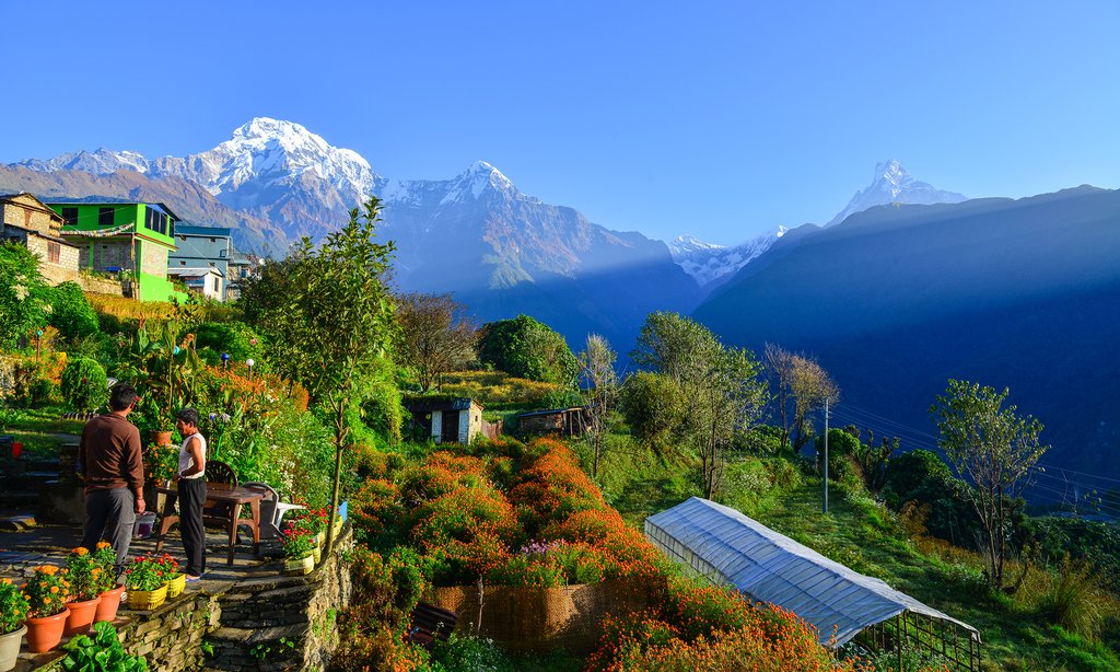 Tadapani to Ghandruk